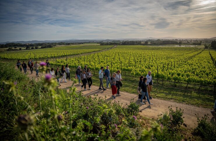 El Vívid arrenca amb el 70% de les entrades venudes i alta demanda d’activitats a la Costa Brava