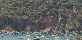 SOS Costa Brava demana més mesures de protecció per complir el nou decret per protegir la posidònia Fondeig posidònia sos costa brava