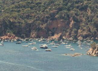 SOS Costa Brava demana més mesures de protecció per complir el nou decret per protegir la posidònia Fondeig posidònia sos costa brava