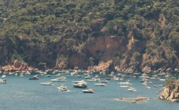 SOS Costa Brava demana més mesures de protecció per complir el nou decret per protegir la posidònia Fondeig posidònia sos costa brava