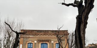 Quan el Baix Empordà encara tenia trens