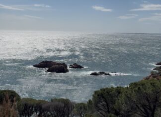 El Baix Empordà afronta una nova jornada de ventades
