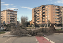 Les fortes ventades provoquen incidències al Baix Empordà amb arbres caiguts i actes suspesos