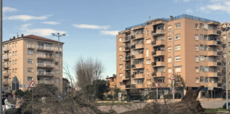 Les fortes ventades provoquen incidències al Baix Empordà amb arbres caiguts i actes suspesos