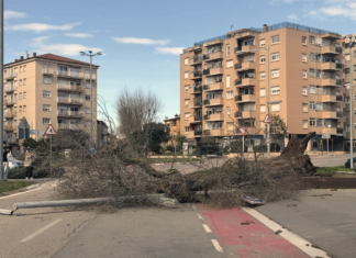 Les fortes ventades provoquen incidències al Baix Empordà amb arbres caiguts i actes suspesos