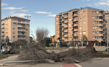 Les fortes ventades provoquen incidències al Baix Empordà amb arbres caiguts i actes suspesos