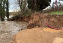 Unió de Pagesos denuncia la “manca d’eficàcia” a l’hora de reparar la mota de Gualta Mota de Gualta Unió de Pagesos