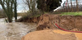 Unió de Pagesos denuncia la “manca d’eficàcia” a l’hora de reparar la mota de Gualta Mota de Gualta Unió de Pagesos