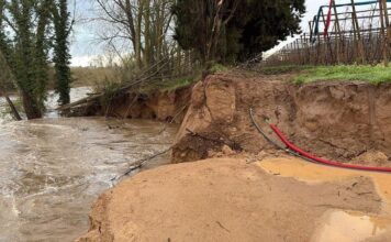 Unió de Pagesos denuncia la “manca d’eficàcia” a l’hora de reparar la mota de Gualta Mota de Gualta Unió de Pagesos