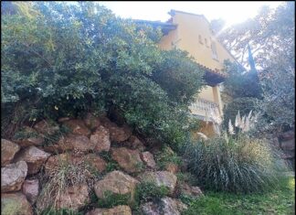 El projecte Naturabegur visitarà prop d’un miler de jardins del Baix Empordà per eliminar plantes invasores