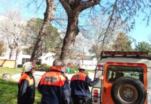 Més de 200 avisos i més de 300 trucades d’emergències al Baix Empordà durant l’episodi de ventades intenses