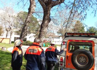 Més de 200 avisos i més de 300 trucades d’emergències al Baix Empordà durant l’episodi de ventades intenses