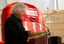 Toni Albaladejo: “Cap Butaca Buida neix de la il·lusió de cuidar el públic del teatre”