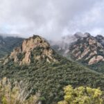 Un estudi alerta que els incendis forestals i les plagues a Europa es podrien duplicar abans de finals de segle Boscos. Zona de Solius, Carcaixells