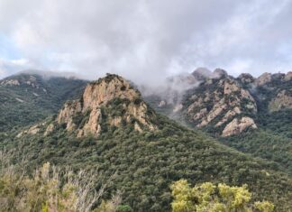 Un estudi alerta que els incendis forestals i les plagues a Europa es podrien duplicar abans de finals de segle Boscos. Zona de Solius, Carcaixells