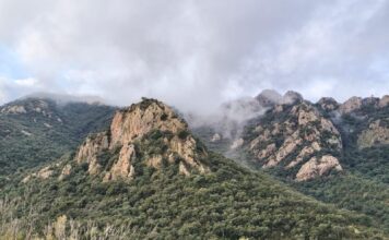 Un estudi alerta que els incendis forestals i les plagues a Europa es podrien duplicar abans de finals de segle Boscos. Zona de Solius, Carcaixells