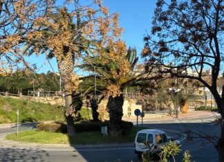 Protecció Civil demana extremar la precaució davant les fortes ventades d’aquest diumenge Ventades vent Baix Empordà