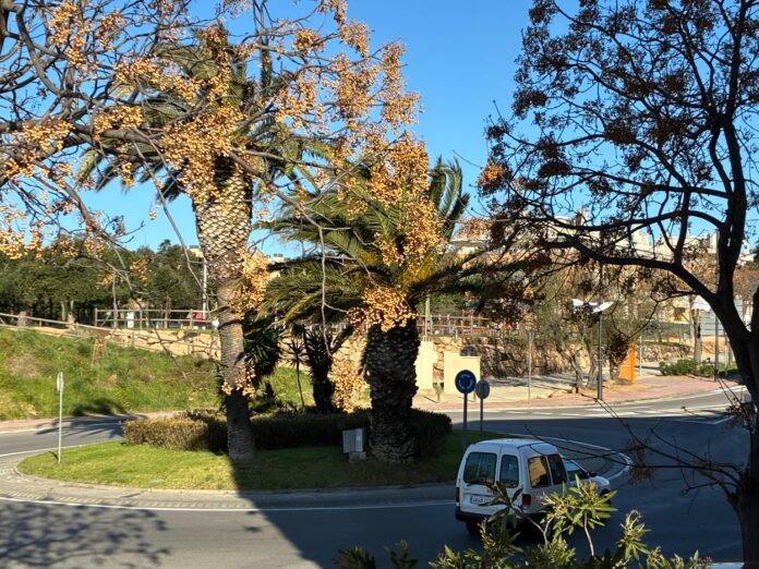 Ventades vent Baix Empordà