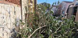 Els Bombers atenen 50 serveis pel vent durant aquest matí sobretot a les comarques gironines