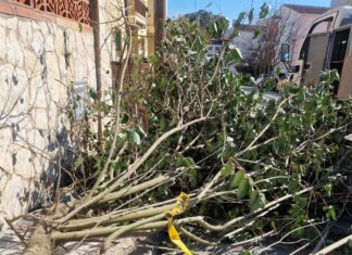 Els Bombers atenen 50 serveis pel vent durant aquest matí sobretot a les comarques gironines