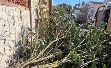 Els Bombers atenen 50 serveis pel vent durant aquest matí sobretot a les comarques gironines