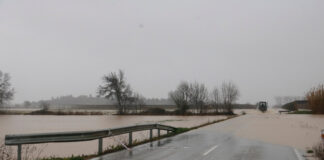 ‘Prou excuses’ denuncia que els pressupostos no preveuen la inversió promesa per millorar les carreteres al Baix Ter