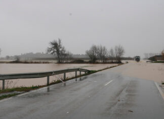 ‘Prou excuses’ denuncia que els pressupostos no preveuen la inversió promesa per millorar les carreteres al Baix Ter