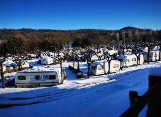 La Fira d’Ocupació de l’Associació de Càmpings de Girona busca connectar empreses del sector amb professionals del turisme Càmpings gironins Fira d'Ocupació