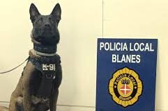 La unitat canina de la Policia Local de Blanes posa gairebé 200 denúncies en mig any
