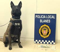 La unitat canina de la Policia Local de Blanes posa gairebé 200 denúncies en mig any