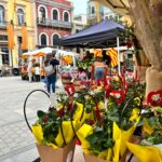 Palafrugell celebra Sant Jordi amb una setmana d’activitats literàries i culturals