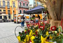Palafrugell celebra Sant Jordi amb una setmana d’activitats literàries i culturals