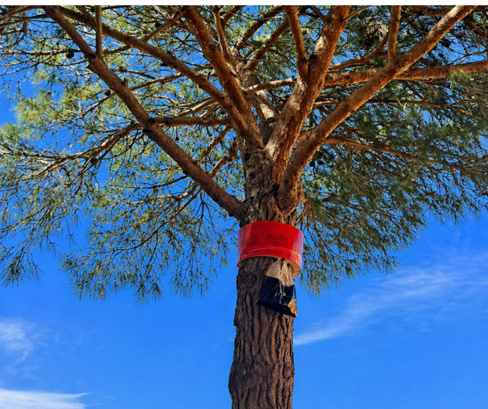 24_04_2026__Proccessonaria_2