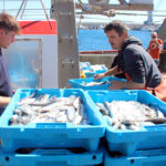 Els pescadors catalans critiquen que paguen el doble pel gasoil arran de la guerra i n’hi ha que ja redueixen dies