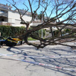 privat:-balanc-dels-efectes-de-la-ventada