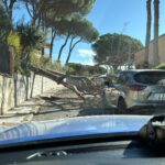 privat:-una-cinquantena-d’arbres-afectats-pel-temporal-els-darrers-dies