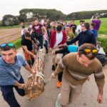 privat:-castell-d’aro-celebra-pasquetes-amb-tres-dies-de-tradicio-i-festa
