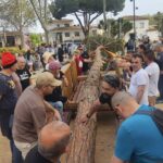 privat:-desenes-de-families-mantenen-viu-el-ritual-ancestral-de-la-plantada-del-pi-per-pasquetes