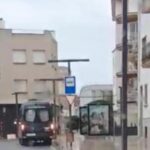 privat:-sant-feliu-adverteix-de-la-presencia-d’un-senglar-a-avinguda-juli-garreta