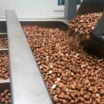 privat:-la-generalitat-destinara-20-milions-d’euros-en-tres-anys-per-impulsar-la-transformacio-i-comercialitzacio-agroalimentaria