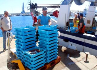 La normativa està ofegant la pesca? El sector denuncia més restriccions, menys captures i una burocràcia creixent privat:-els-pescadors-catalans-critiquen-que-paguen-el-doble-pel-gasoil-arran-de-la-guerra-i-n’hi-ha-que-ja-redueixen-dies