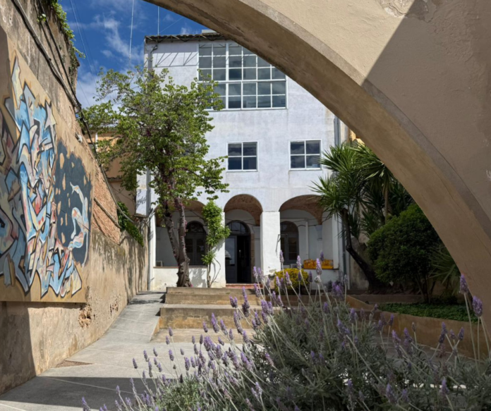 privat:-l’espai-dona-celebra-els-20-anys-amb-un-pati-propi-al-flors-i-violes-2026 privat:-l’espai-dona-celebra-els-20-anys-amb-un-pati-propi-al-flors-i-violes-2026