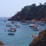privat:-sos-costa-brava-impulsa-la-campanya-“protegim-el-verd-que-ens-fa-viure”-davant-la-degradacio-de-la-posidonia-a-la-costa-brava