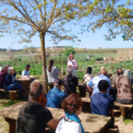 Palafrugell amplia els horts comunitaris de les Arenes amb noves parcel·les privat:-l’ajuntament-de-palafrugell-lliura-24-noves-parcelles-dels-horts-comunitaris-de-les-arenes