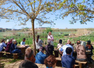 Palafrugell amplia els horts comunitaris de les Arenes amb noves parcel·les privat:-l’ajuntament-de-palafrugell-lliura-24-noves-parcelles-dels-horts-comunitaris-de-les-arenes