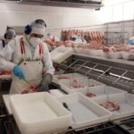 privat:-les-exportacions-de-les-carnies-gironines-cauen-un-22%-al-febrer-per-l’impacte-dels-aranzels-de-la-xina