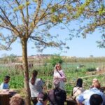 privat:-palafrugell-amplia-els-horts-urbans-a-les-arenes-amb-57-families-i-4-entitats-que-disposen-d’un-espai