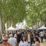 privat:-la-bisbal-es-prepara-per-a-un-1-de-maig-de-mercat,-art-i-brocanters