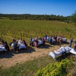 privat:-el-vivid,-el-mes-de-l’enoturisme-a-la-costa-brava,-tanca-amb-el-85-%-d’ocupacio-i-2.291-participants