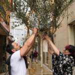 privat:-flors-i-violes-2026-arrenca-a-palafrugell-amb-l’espectacle-inaugural-de-mapping-“elements”-i-tres-dies-plens-d’activitats-i-espais-transformats